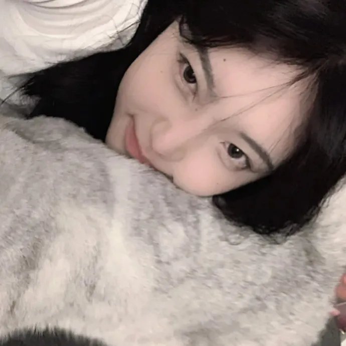 解放者：欧陆决战500天